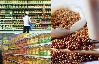 轉基因食品的標識迷局 廠家為何遮掩，消費者如何識別？